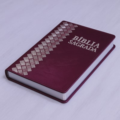 image_1da8448c-1495-4745-9b3d-baf28ad47479