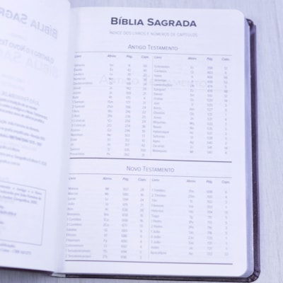 image_6007aa6e-c05d-45c4-8c75-ad6bcdf1ca97