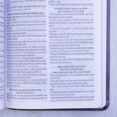 image_459f9dc5-a134-4d58-b7ae-1ef48de0f84b