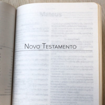 image_e46d5278-c515-4cf7-9c54-596b3b551847