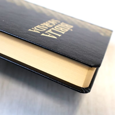 image_dab4017a-701d-49ed-811a-2a1fae1a2a34