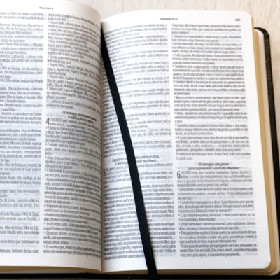 image_ed0adde8-1a6b-45eb-8b23-a87541ed8bed