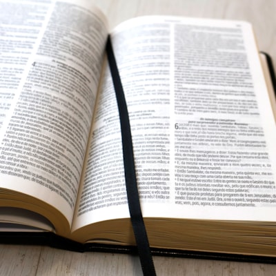 image_19730a97-5b81-443a-8e8a-b9e608260ba0