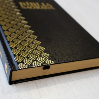 image_fa1e3756-d4fd-42a2-980c-8a75cf401941