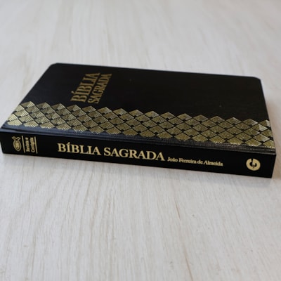 image_fe3609b8-ecf9-4f2e-a0c5-f57375d75947