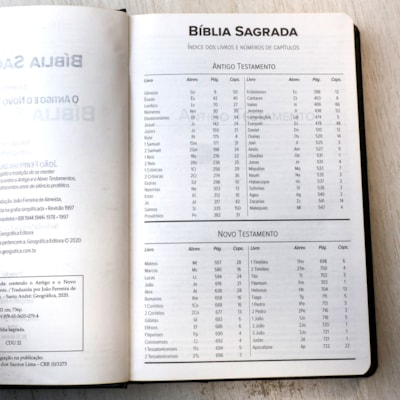 image_eec9bda7-12ce-4b94-aa57-52853ea0276c