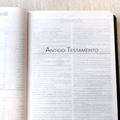 image_a86ec675-78fe-4816-9e5c-ff00ff5a1dcf