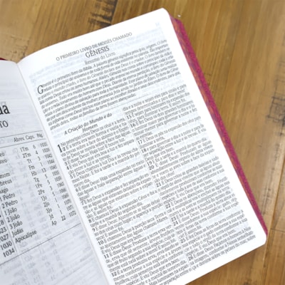 image_c1ed1986-bb87-4163-a23c-d75b349ccd78