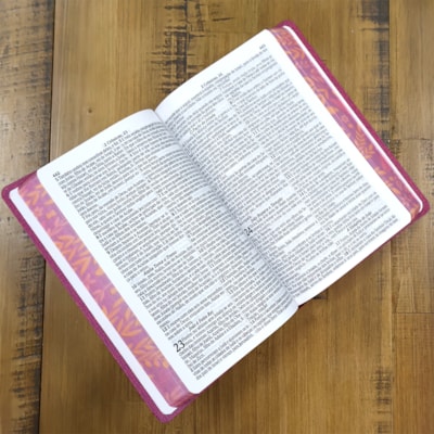 image_5a32b7a8-3c41-4925-8dac-83c8ce81bfd8