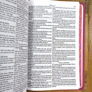 Bíblia Sagrada | ARC | Letra Normal | Harpa Avivada e Corinhos | Flores Vinho