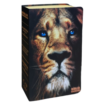 Imagem Principal - 19178bb9-c898-4085-a9e6-57298924f31d