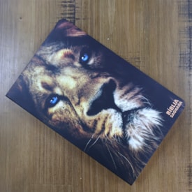 Segunda imagem do produto Bíblia Sagrada | ARC | Letra Normal| Harpa Avivada e Corinhos | Leão Rei