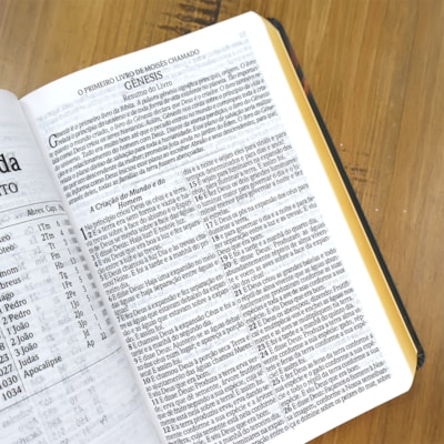 image_116acfb2-db77-420d-b233-1d158e0242a2