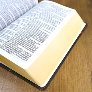 Bíblia Sagrada | ARC | Letra Normal| Harpa Avivada e Corinhos | Leão Rei