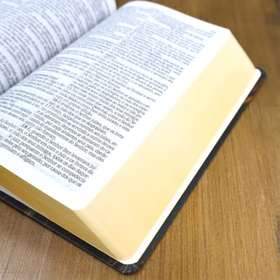 image_18cd5f69-df88-4c9c-869e-b5210310914f