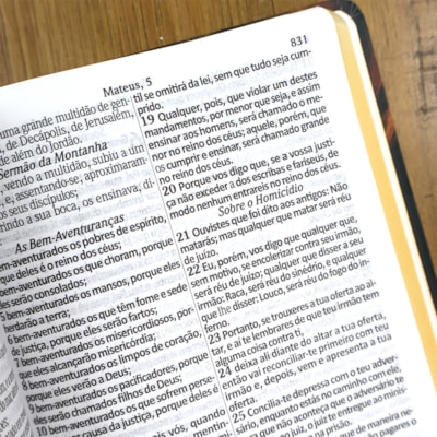 image_3954a30b-f5f6-4a5b-ae18-63b1cf9c2ee6