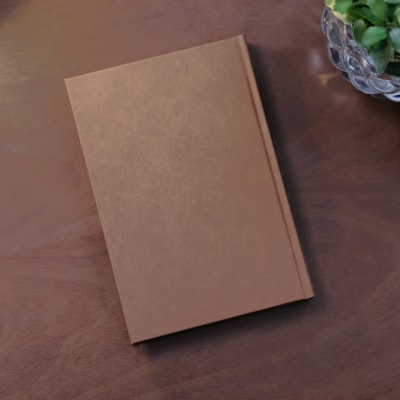 image_501a1ded-5bc5-417d-af9b-c656ac0d84b8