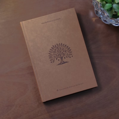 image_3743ec64-7bc2-4da6-8acc-fb89cc859608