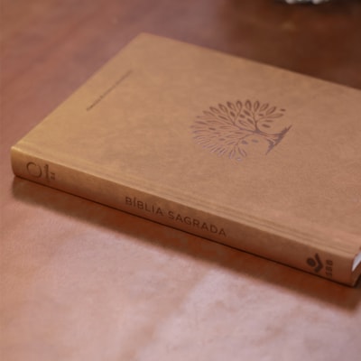 image_01fa383e-a486-435e-9151-8241c42b4085