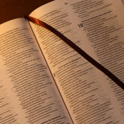 image_238762bb-f4f0-4253-a093-185bb8d0f895