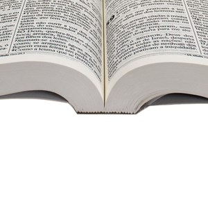 Bíblia Sagrada Árvore | ARC | Letra Gigante | Capa Brochura