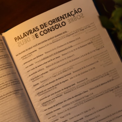 image_fa510e62-aed3-4a83-9238-2462215753a4