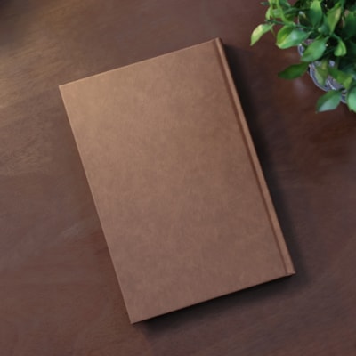 image_922b1ec2-83c3-45e2-9910-e56ebaf41407