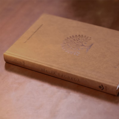 image_e9d1c942-1367-47c4-9c2b-39f4a684f760