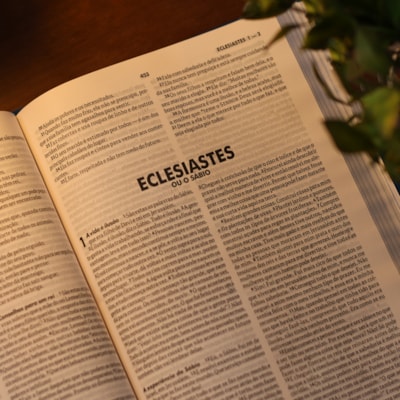 image_d4ba5067-43c1-498d-a0e9-1c1f417c3472