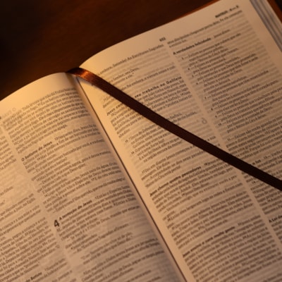 image_75298911-65ee-43f5-a458-7e3727007438