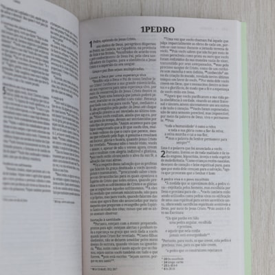 image_5db8afb7-53c0-477a-8ee1-3eb11ffc2e40