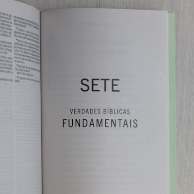 image_49bc774a-794b-4f45-8b0a-d650cebaa87e