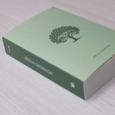 image_7cf5c12f-7437-48ca-9645-41c15f482a83