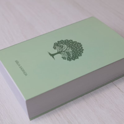 image_3c863866-96f2-4def-a7a1-78600bbf6602