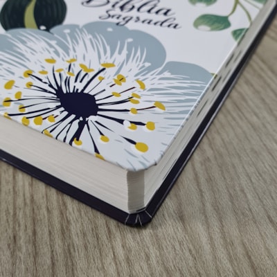 image_61b408c5-8346-4a4c-bc3e-a72980b687d8