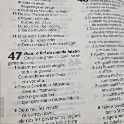 image_bcef24fc-40aa-4ec4-a9b1-eb0dbd20c2e1