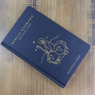 image_61bcdfb4-da19-431d-9855-3c182313160d