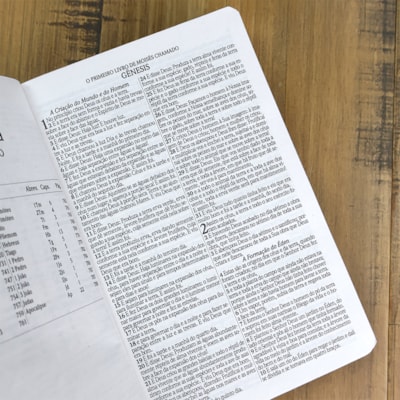 image_35359d4d-e05b-4735-bb46-5115ef083642