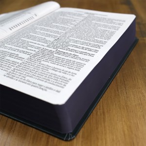 Bíblia Sagrada Bom Pastor | ARC | Letra Grande | Capa Dura | Harpa Avivada e Corinhos