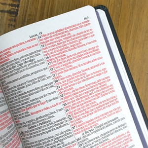 Bíblia Sagrada Bom Pastor | ARC | Letra Grande | Capa Dura | Harpa Avivada e Corinhos