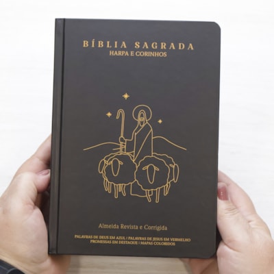 image_cba65e41-ca6f-4f71-bc0c-0d1382d8f2fa