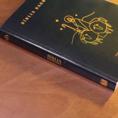 image_e76c0651-fa25-4017-b636-bc3b3158f4ce