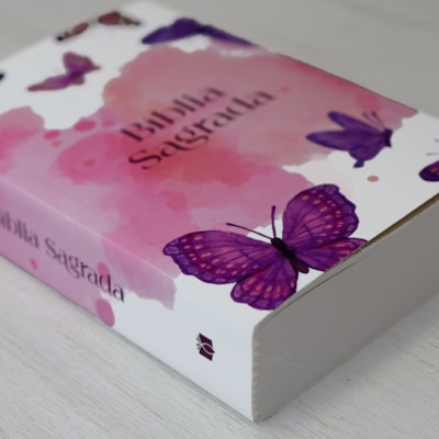 image_b9b760b1-9f0a-438a-b16e-9076ebfba26c