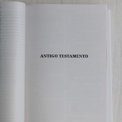 image_685b96de-91f1-41ae-be6c-2e21cf412025