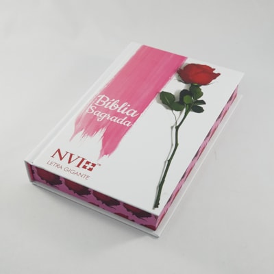 image_aa91e866-1573-4e7c-a7fc-c5e65b8d3ba2