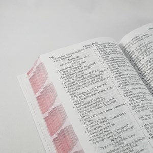 Bíblia Sagrada Botão de Rosa | NVI | Letra Gigante | Capa Dura