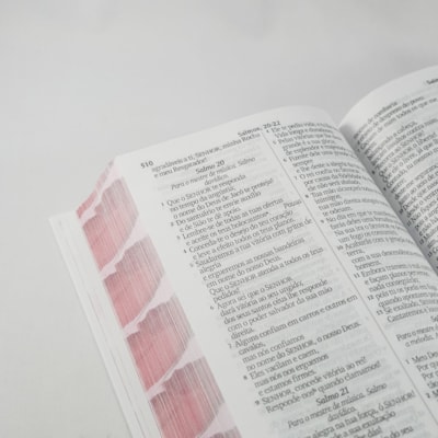 image_6d0d6f50-7901-4ab3-bad6-b2b9eb617a7e