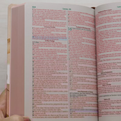 image_b51f0458-5a65-4996-bde4-3aef652cd974