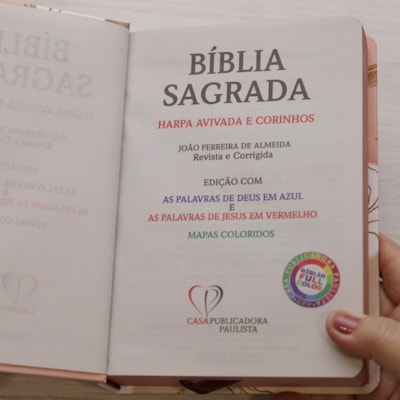 image_e0b6705d-c032-4401-8d86-b1baa5ac4d06