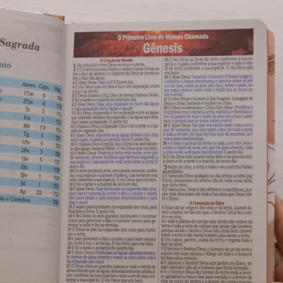 image_28894922-82fa-4b89-b376-fd0c07c678f4